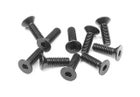 Xray Hex Screw Sfh M3X10  (10)