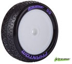 Louise E-Phantom Buggy 2WD Eturengas Valkoisella Vanteella - SuperSoft - Team Losi 22 (2)