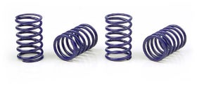 Xray Spring-Set D=1.7 (25 Lb) Dark-Blue  (4)